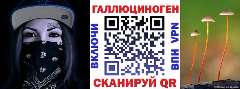 Купить  Тайга  Псилоцибиновые грибы Cubensis 