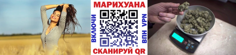 Купить где Тайга Каннабис ГИДРОПОН